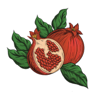 fruit_colored